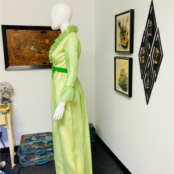 Lorrie Deb San Francisco Vintage Prom Dress - Picture 8 of 13